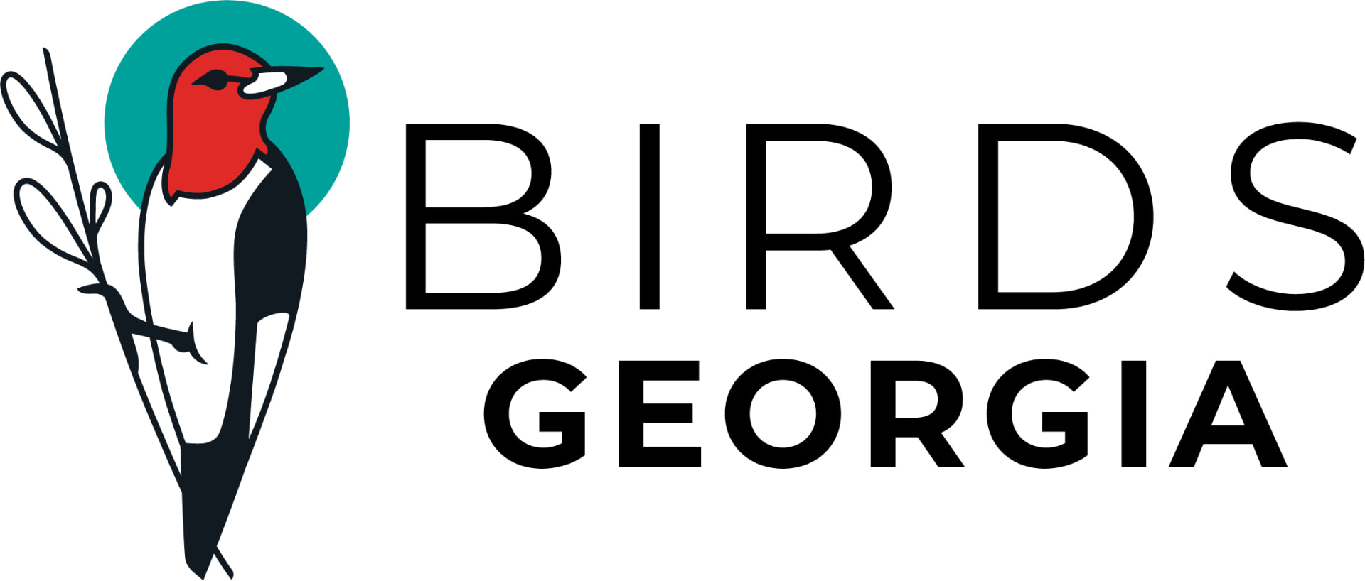 Birds Georgia logo