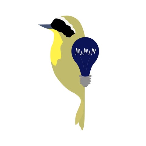 Lights Out Northeast Florida logo