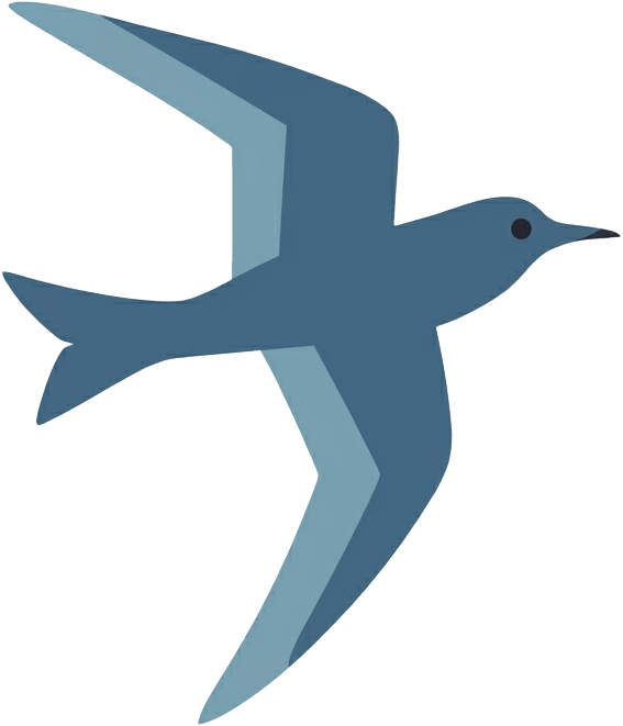 Collision-Free Coastlines Network logo